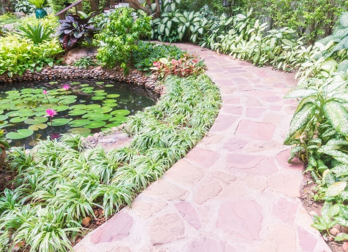 Allée en pierre serpentant dans un jardin paysager avec bassin décoratif, végétaux ornementaux et massifs aménagés.