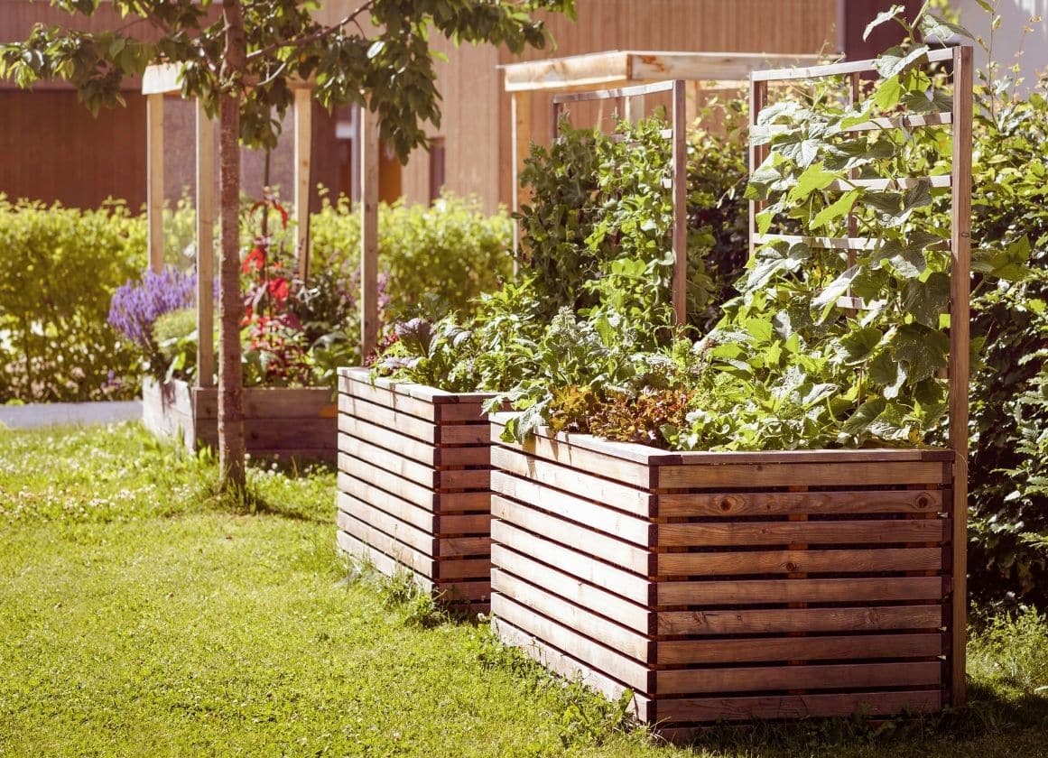 Bacs potagers en bois sur mesure intégrés dans un jardin paysager avec plantations et structures de palissage pour végétaux grimpants.