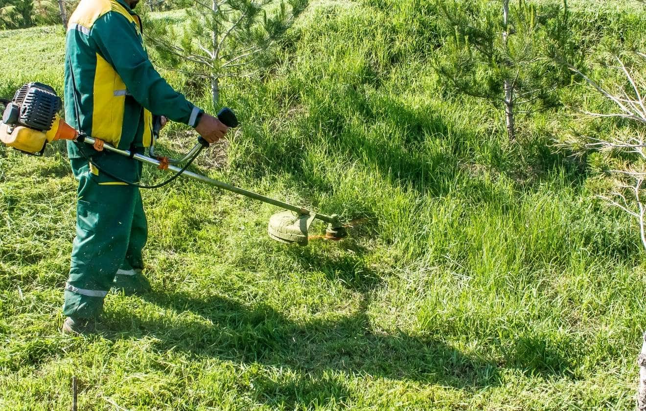 Paysagiste utilisant une débroussailleuse pour l’entretien d’un terrain herbeux et la maîtrise de la végétation.