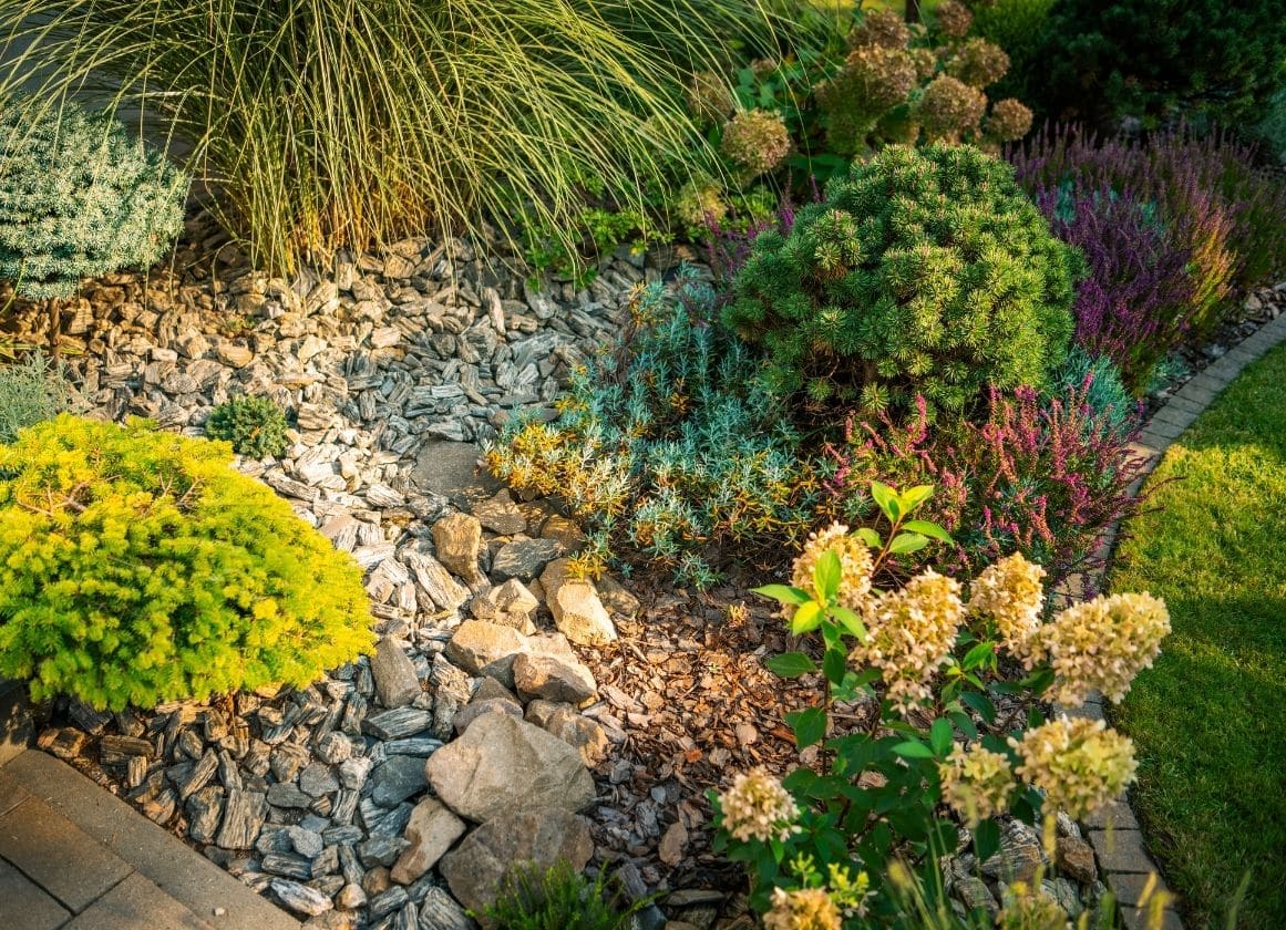 Massif paysager composé de végétaux d’ornement, de graminées, de conifères et de paillage minéral dans un jardin aménagé.