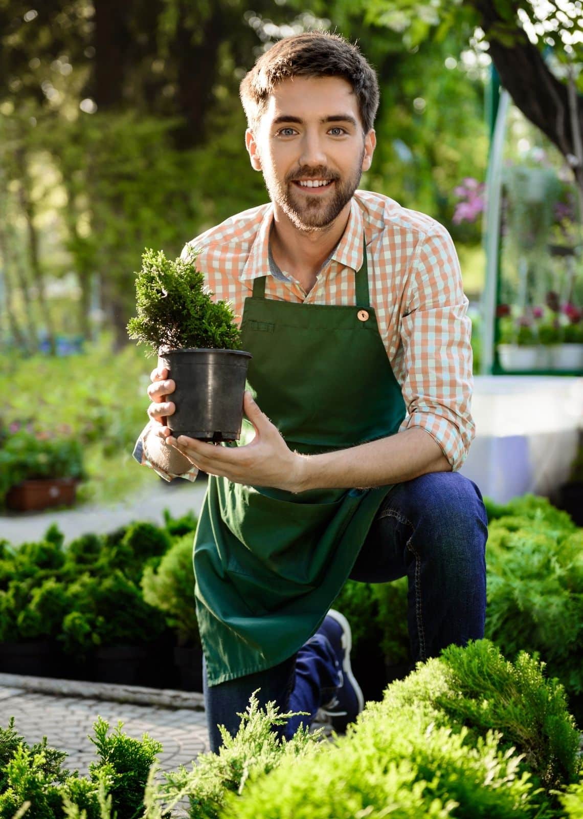 Paysagiste présentant un jeune arbuste en pot dans un jardin paysager lors d’un projet de plantation et d’aménagement extérieur.