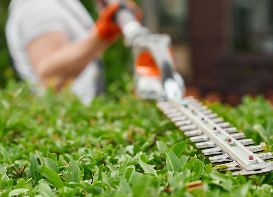 Paysagiste réalisant la taille d’une haie à l’aide d’un taille-haie électrique dans le cadre de l’entretien d’un jardin.